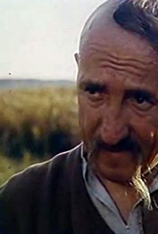 Películas de Yuri Yevsyukov