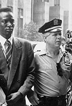 Películas de Yusef Salaam