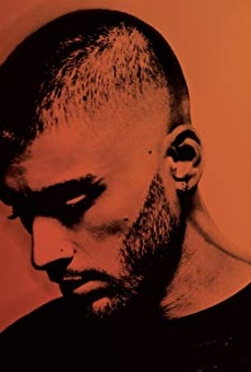 Películas de Zayn Malik
