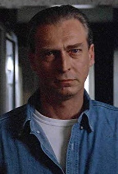 Películas de Zinaid Memisevic