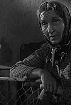 Películas de Zora Polanová