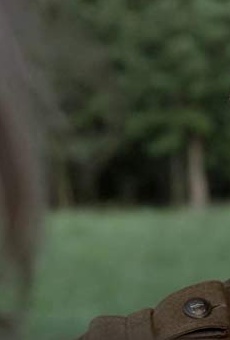 Películas de Zsolt Trill