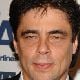 Benicio Del Toro