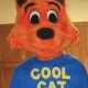 Cool Cat