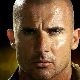 Dominic Purcell