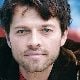 Misha Collins