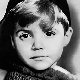 Scotty Beckett