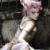 Emilie Autumn