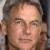 Mark Harmon