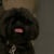 Harry