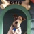 Otis