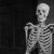 Skeleton