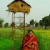 Vandana Shiva