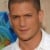 Wentworth Miller