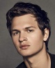 Ansel Elgort