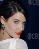 Cobie Smulders