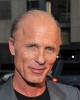 Ed Harris