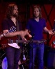 The Sheepdogs