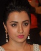 Trisha Krishnan