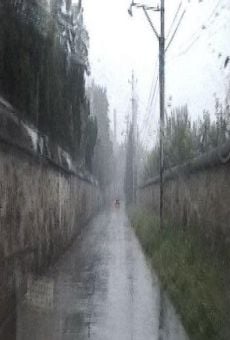 Farewell to Yuanmingyuan online streaming