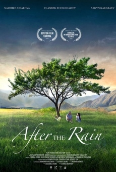 Ver película After the Rain