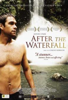 Ver película After The Waterfall