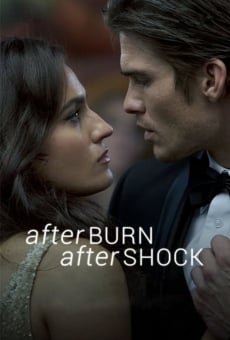 Ver película Afterburn/Aftershock