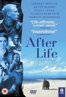 Ver película AfterLife