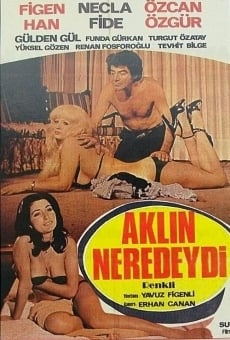 Akl?n Neredeydi online streaming