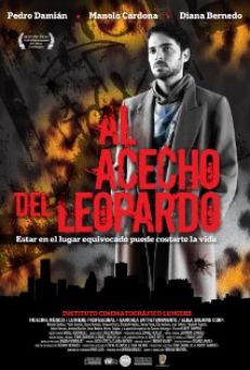 Ver película Al acecho del leopardo