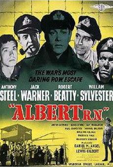 Ver película Albert R.N.