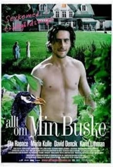 All About My Bush online streaming