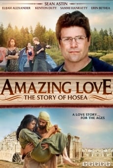 Ver película Amazing Love