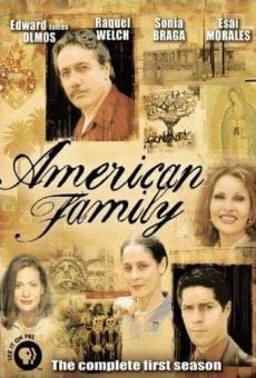 Ver película American Family