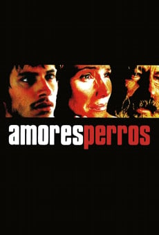 Amores perros, película completa en español