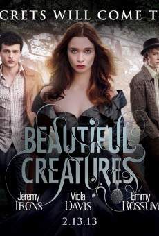 And One Was Beautiful online streaming