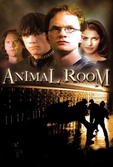 Animal Room on-line gratuito