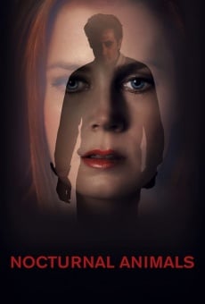 Nocturnal Animals online kostenlos