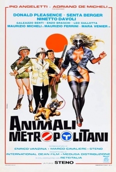 Animali metropolitani streaming en ligne gratuit