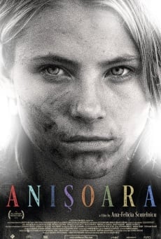 Anishoara (2016)