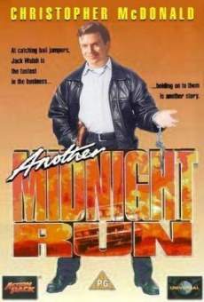 Ver película Another Midnight Run