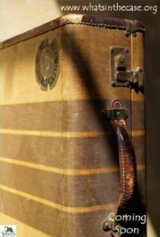Antique Case online streaming