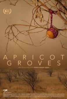 Apricot Groves gratis