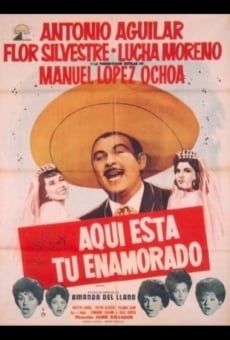 Película