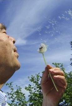 Ici Najac, à vous la terre