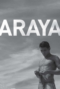 Araya en ligne gratuit