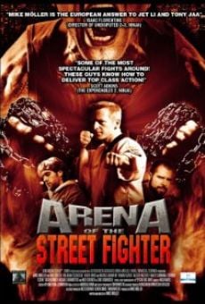 Arena of the Street Fighter gratis