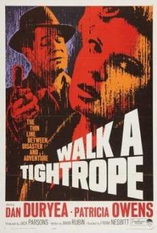 Walk a Tightrope en ligne gratuit