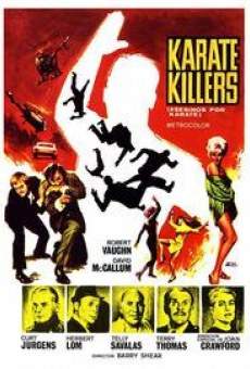 The Karate Killers online free