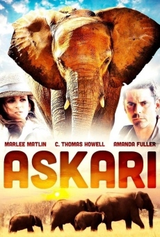 Askari on-line gratuito